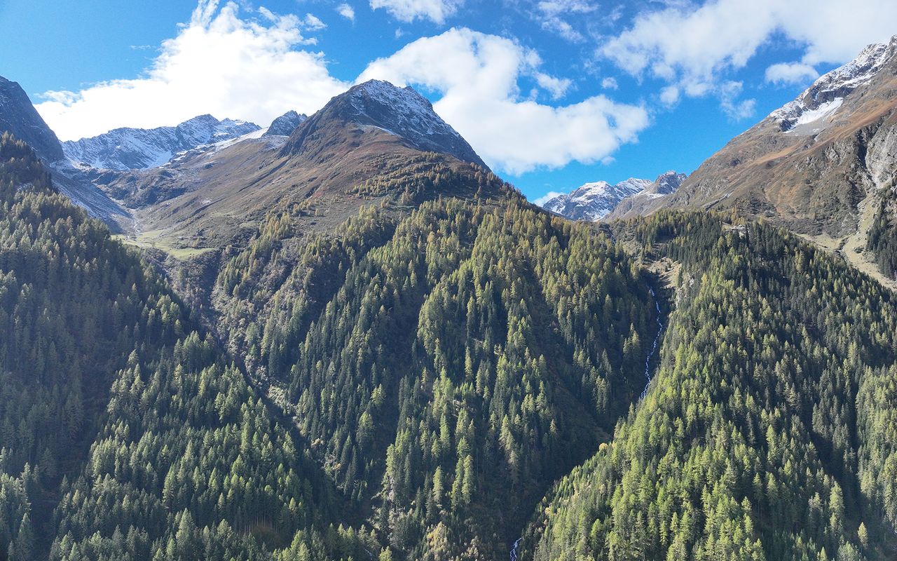 Berglandschaft mit grünen Wäldern, schneebedeckten Gipfeln und blauem Himmel, unterbrochen von einem Wasserfall.