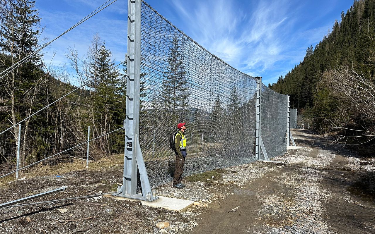Eine Person steht an einem hohen Zaun aus Drahtgeflecht in einer ländlichen Umgebung mit Bäumen und einem blauen Himmel.