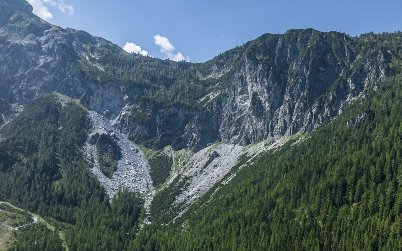 Eine beeindruckende Berglandschaft mit steilen Felsen und tiefgrünen Nadelwäldern unter einem klaren blauen Himmel.
