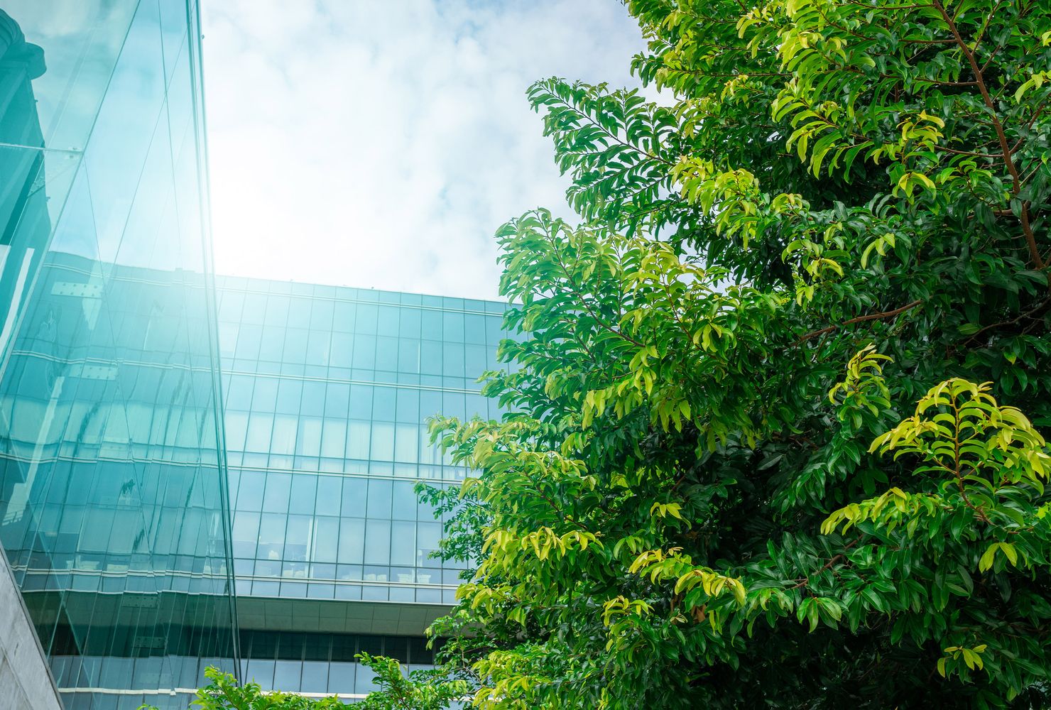 Moderne Glasarchitektur im Hintergrund, umgeben von üppigem grünem Laub unter einem teilweise bewölkten Himmel.