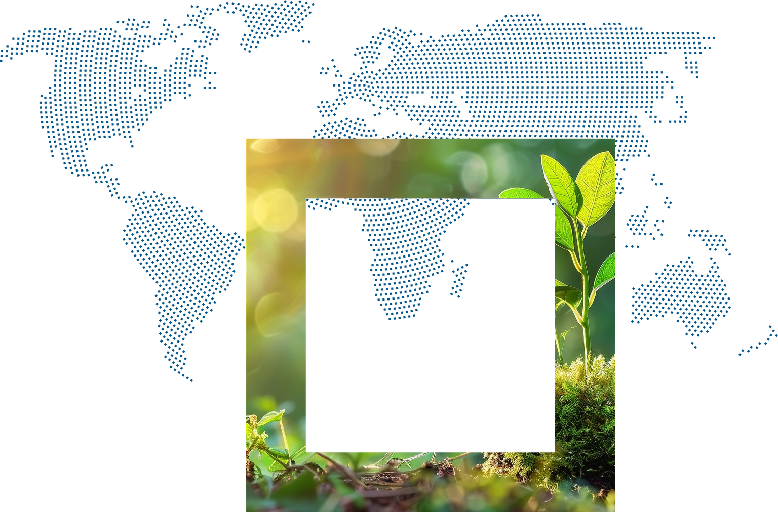 Ein grüner Pflanzenkeim wächst auf moosigem Boden vor einem verschwommenen, sonnigen Hintergrund und einer Weltkarte.