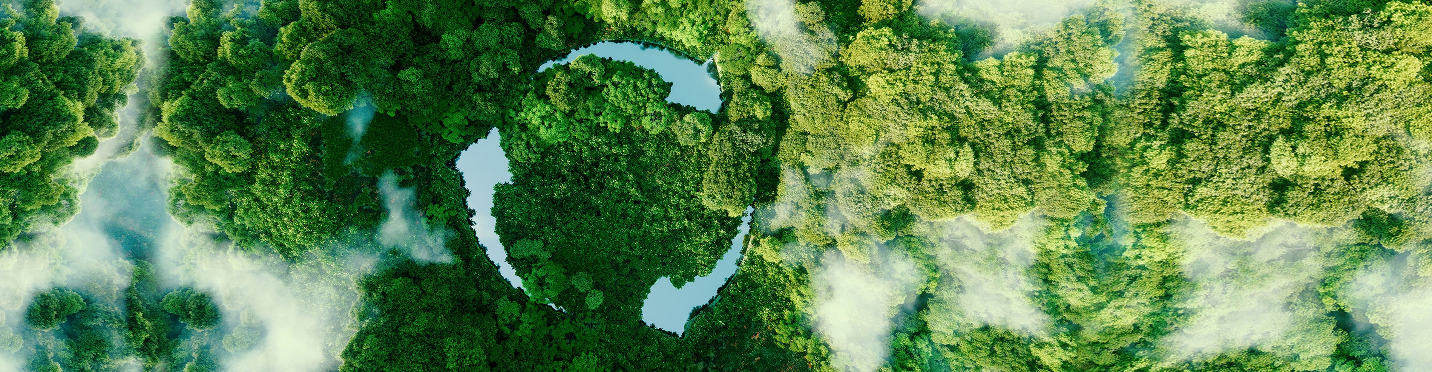 Eine Luftaufnahme eines dichten, grünen Waldes mit einem wassergefüllten Bereich in der Mitte, der eine Gesichtsform bildet.